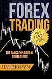 FOREX TRADING: The Basics Explained in Simple Terms